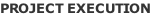 PROJECT EXECUTION